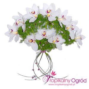 Wachlarz Ślubny (KOD 001)