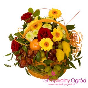 Kosz Tropikalny (KOD 103)