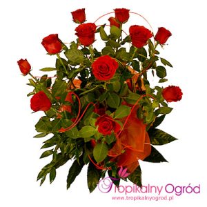 Zmysłowe Oczarowanie (KOD 105)