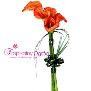 Bukiet Ślubny (KOD 028)