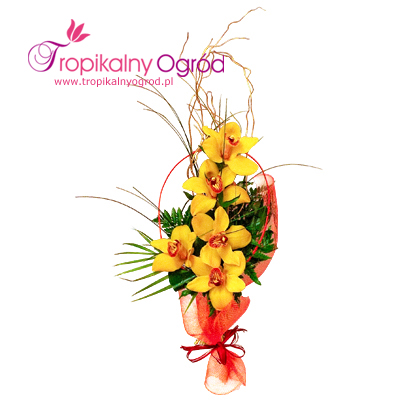 Pomiętam o Tobie (KOD 140)