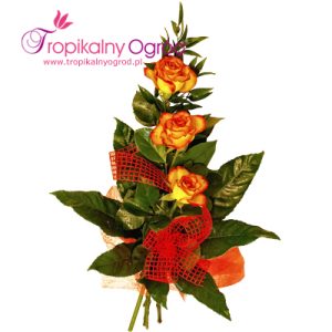 3 Róże Herbaciane (KOD 162)
